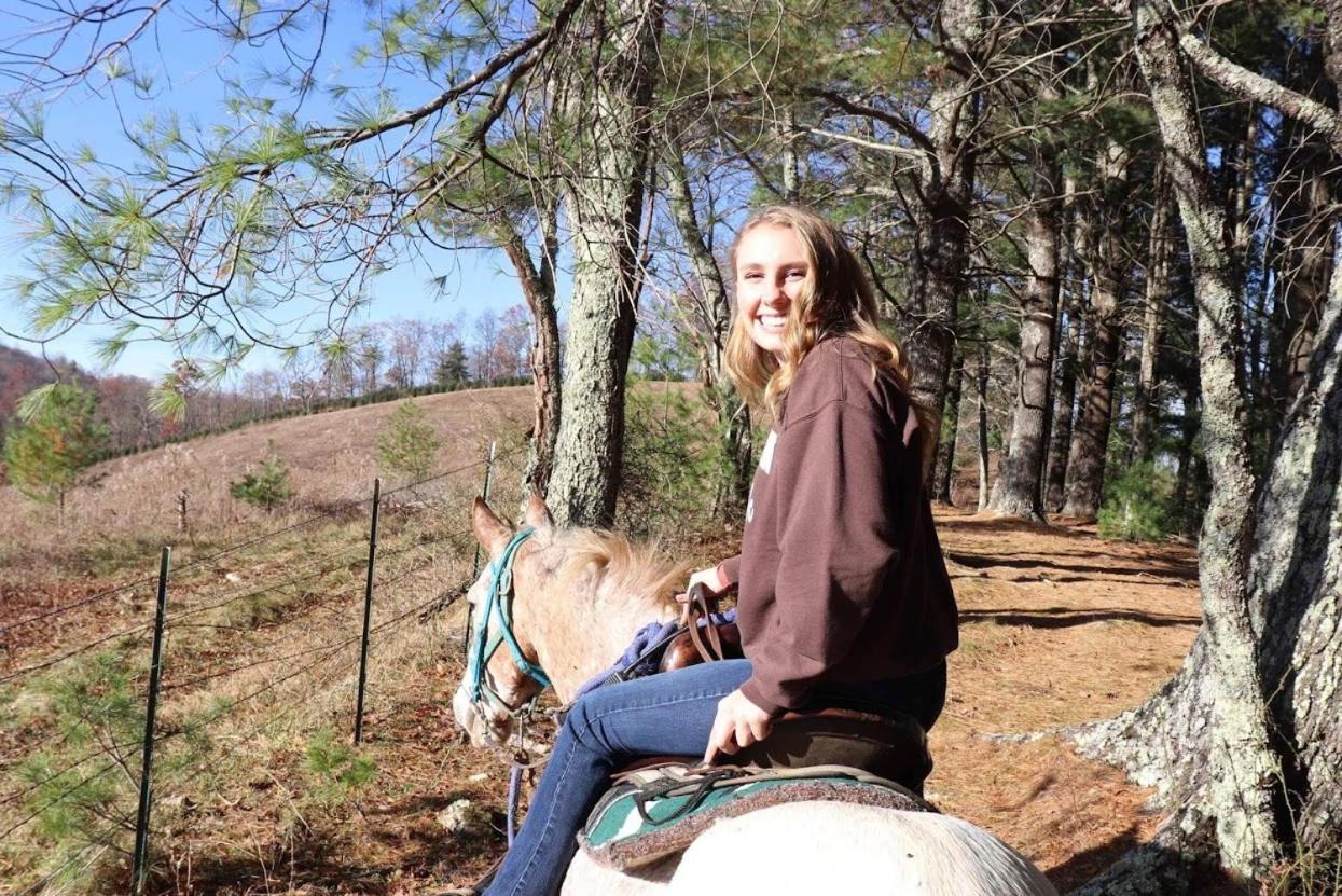 Arrowmont Stables & Cabins Cullowhee المظهر الخارجي الصورة
