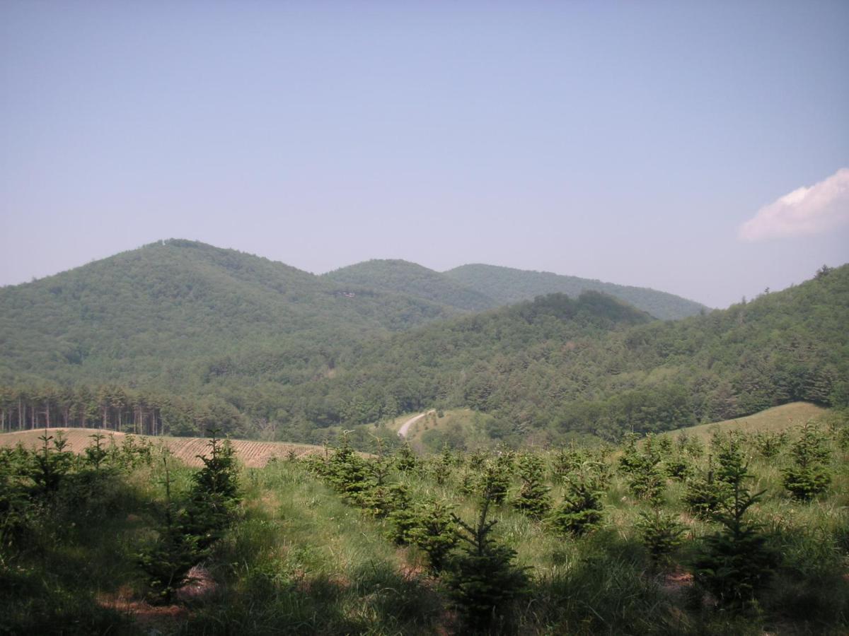 Arrowmont Stables & Cabins Cullowhee المظهر الخارجي الصورة