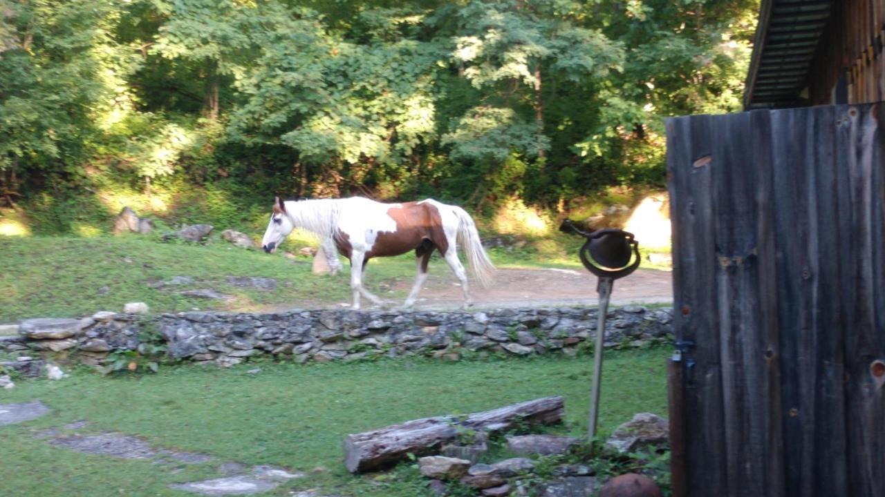 Arrowmont Stables & Cabins Cullowhee المظهر الخارجي الصورة