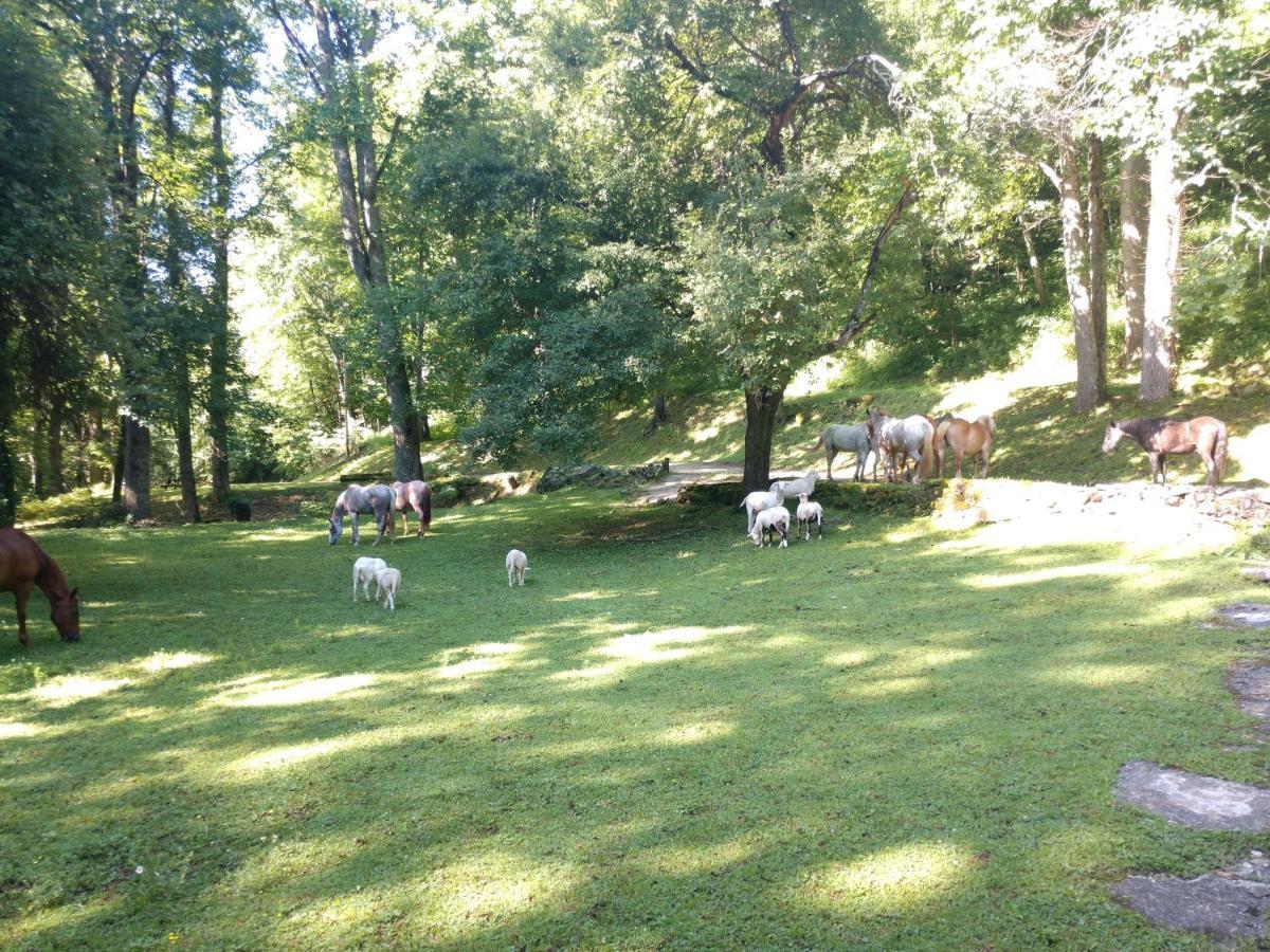 Arrowmont Stables & Cabins Cullowhee المظهر الخارجي الصورة