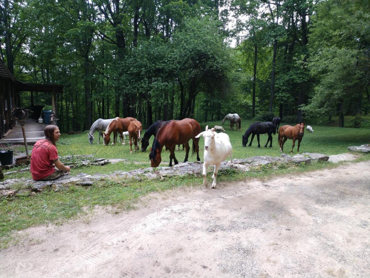 Arrowmont Stables & Cabins Cullowhee المظهر الخارجي الصورة