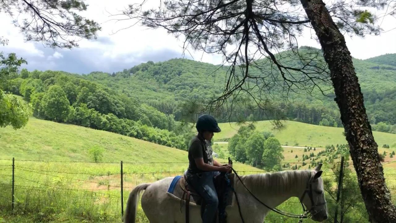 Arrowmont Stables & Cabins Cullowhee المظهر الخارجي الصورة