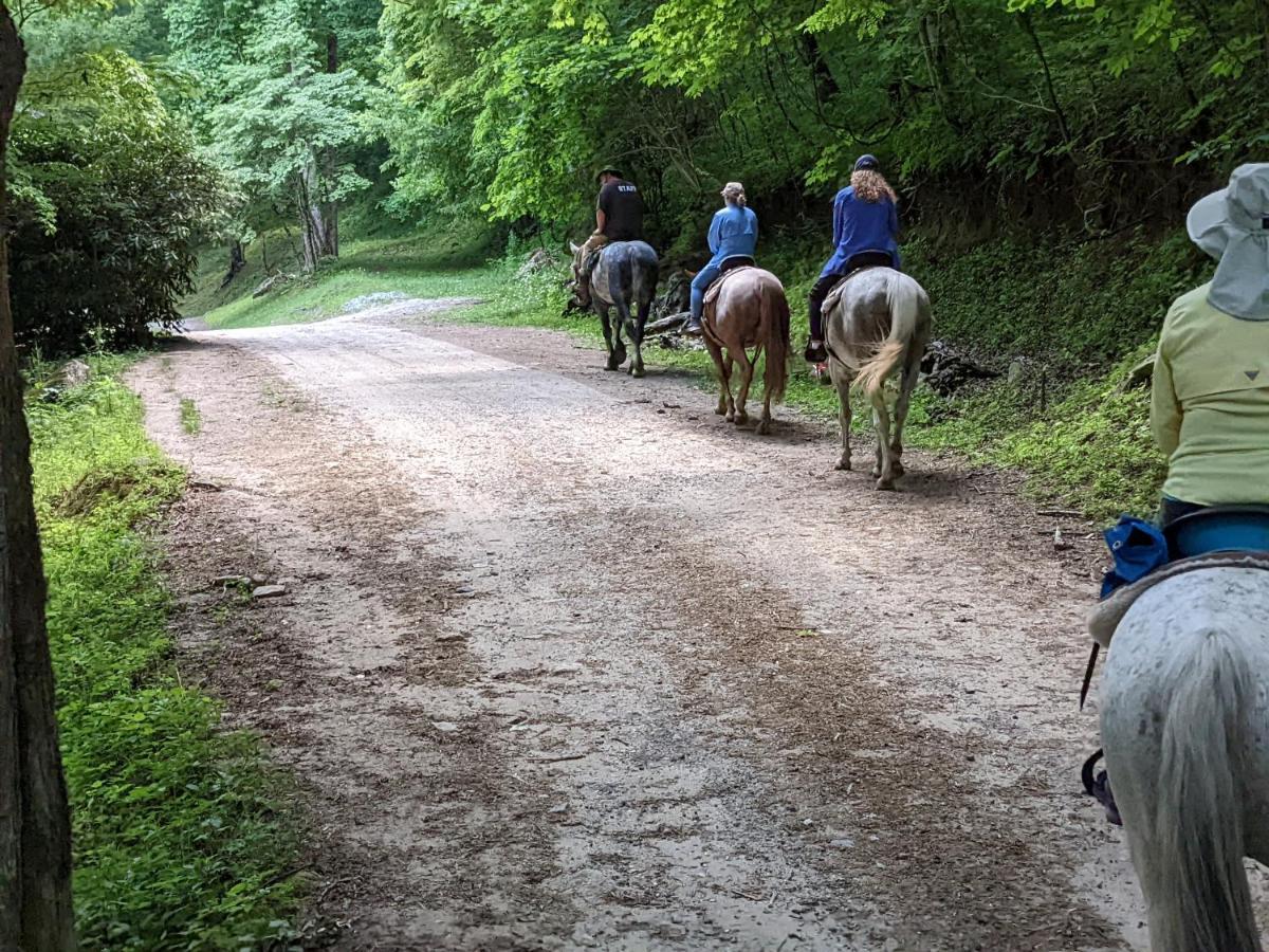 Arrowmont Stables & Cabins Cullowhee المظهر الخارجي الصورة