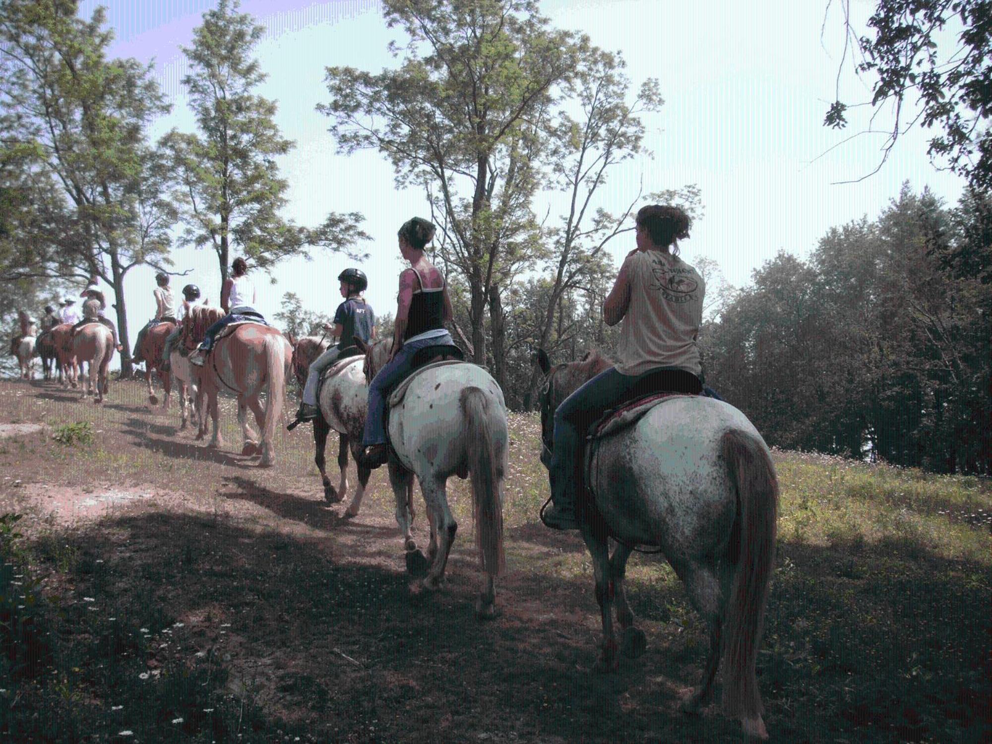 Arrowmont Stables & Cabins Cullowhee المظهر الخارجي الصورة