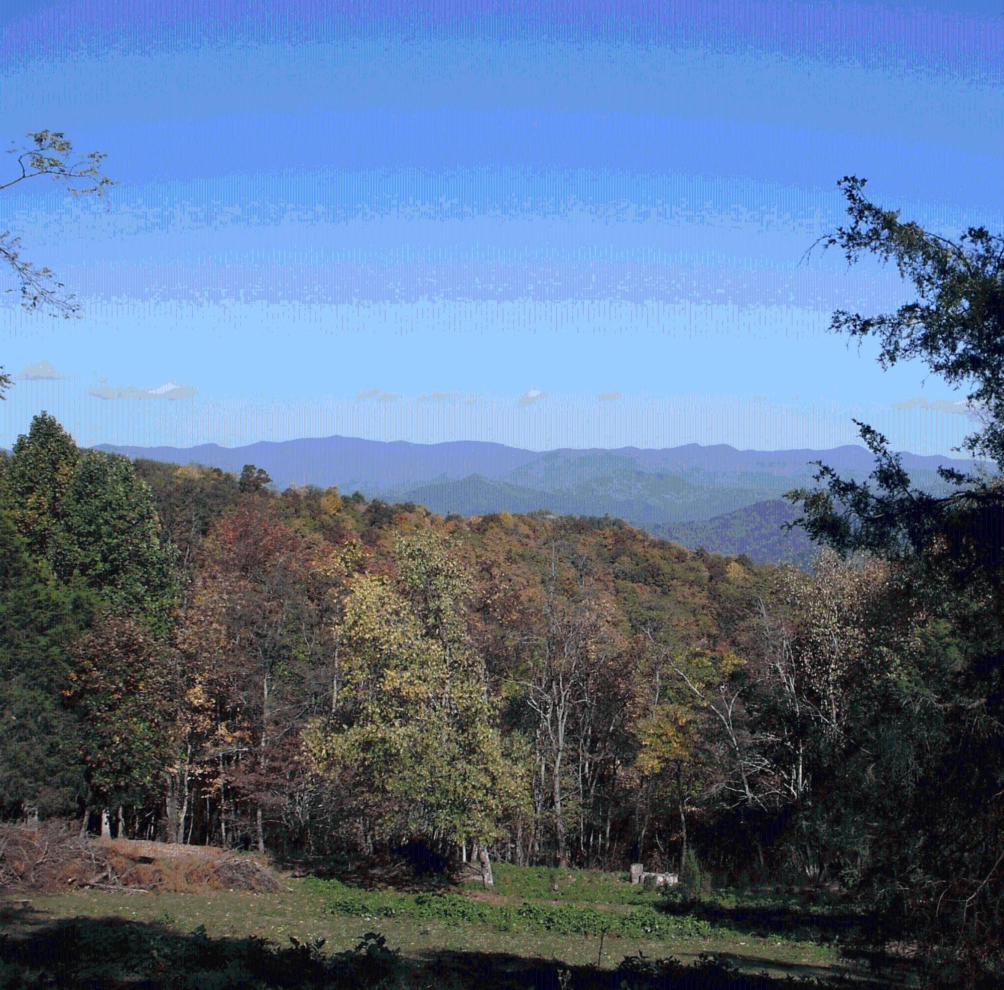 Arrowmont Stables & Cabins Cullowhee المظهر الخارجي الصورة