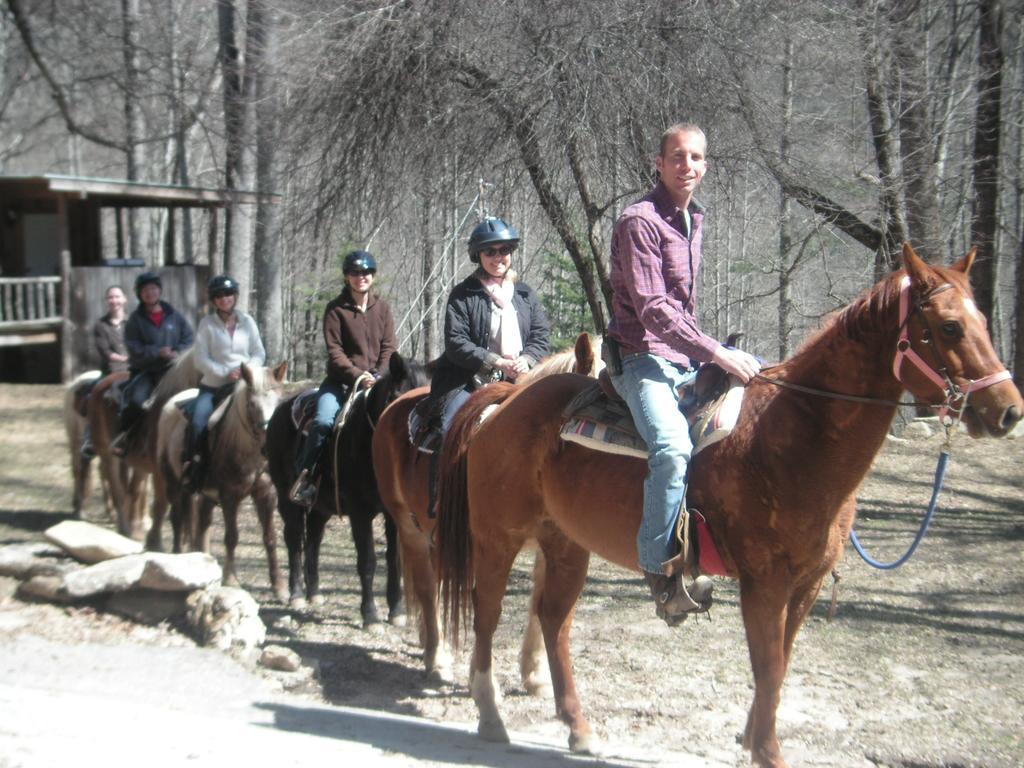 Arrowmont Stables & Cabins Cullowhee المظهر الخارجي الصورة