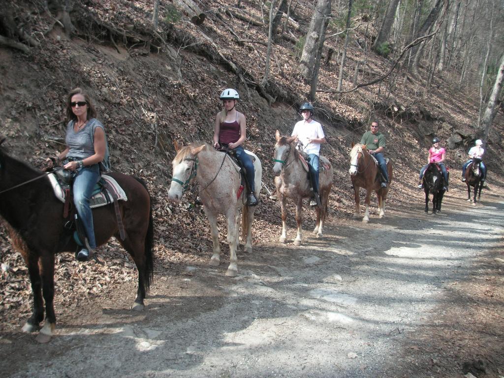 Arrowmont Stables & Cabins Cullowhee المظهر الخارجي الصورة