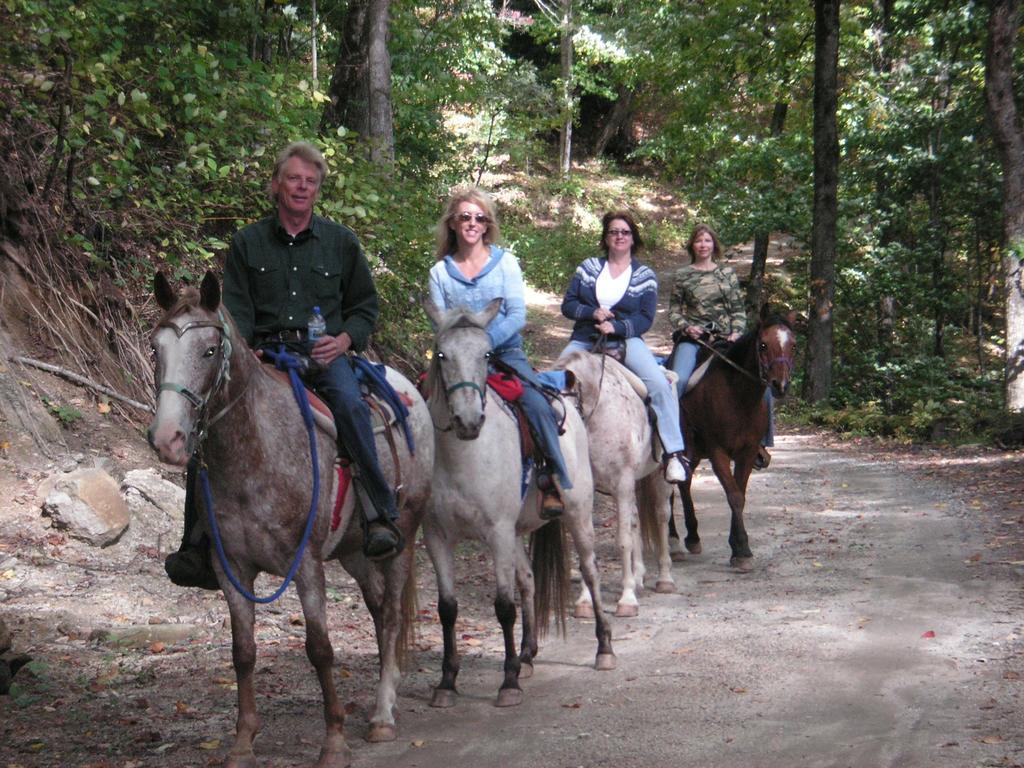 Arrowmont Stables & Cabins Cullowhee المظهر الخارجي الصورة