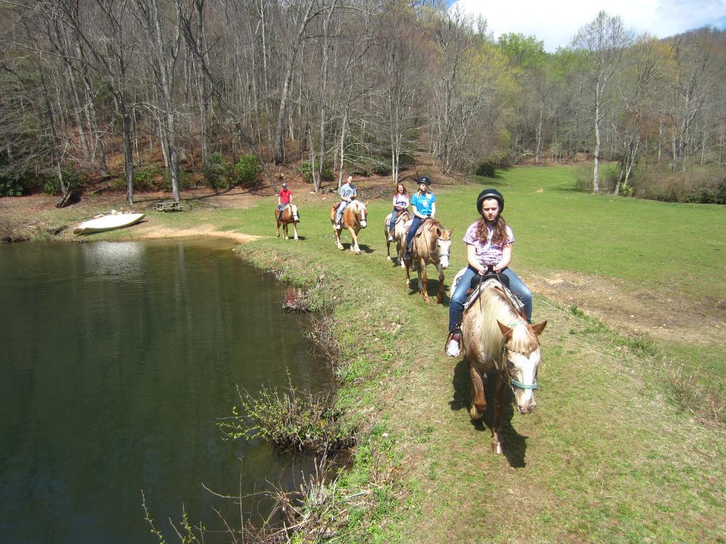 Arrowmont Stables & Cabins Cullowhee المظهر الخارجي الصورة