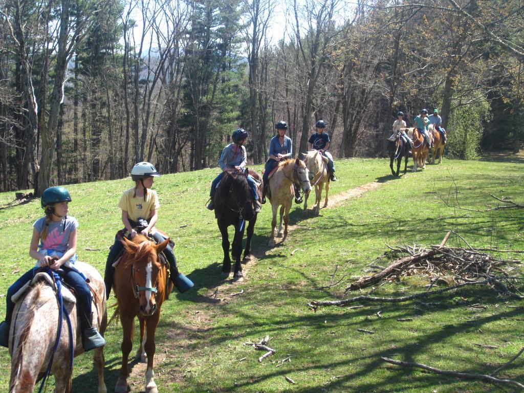 Arrowmont Stables & Cabins Cullowhee المظهر الخارجي الصورة