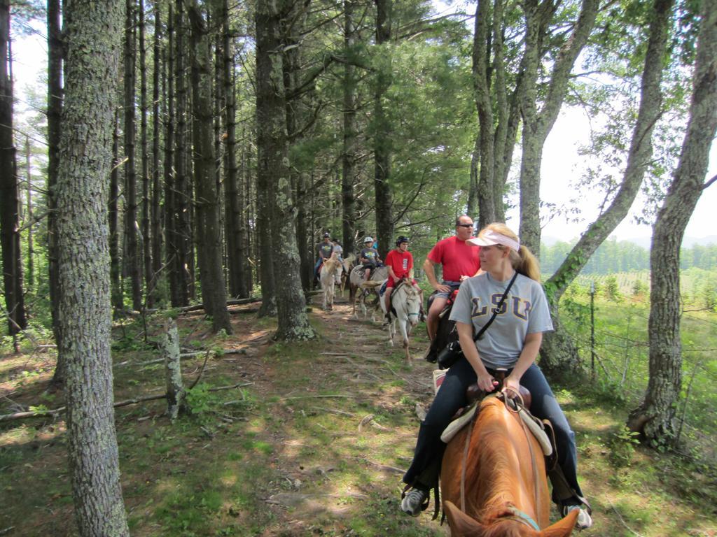 Arrowmont Stables & Cabins Cullowhee المظهر الخارجي الصورة