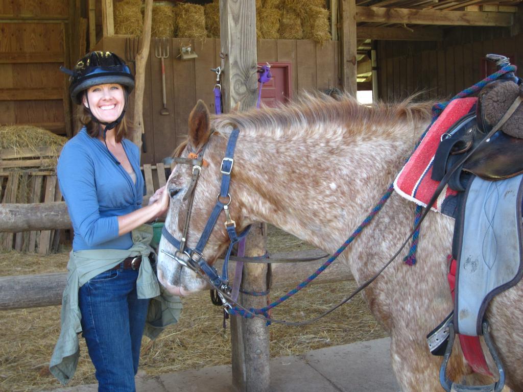 Arrowmont Stables & Cabins Cullowhee المظهر الخارجي الصورة