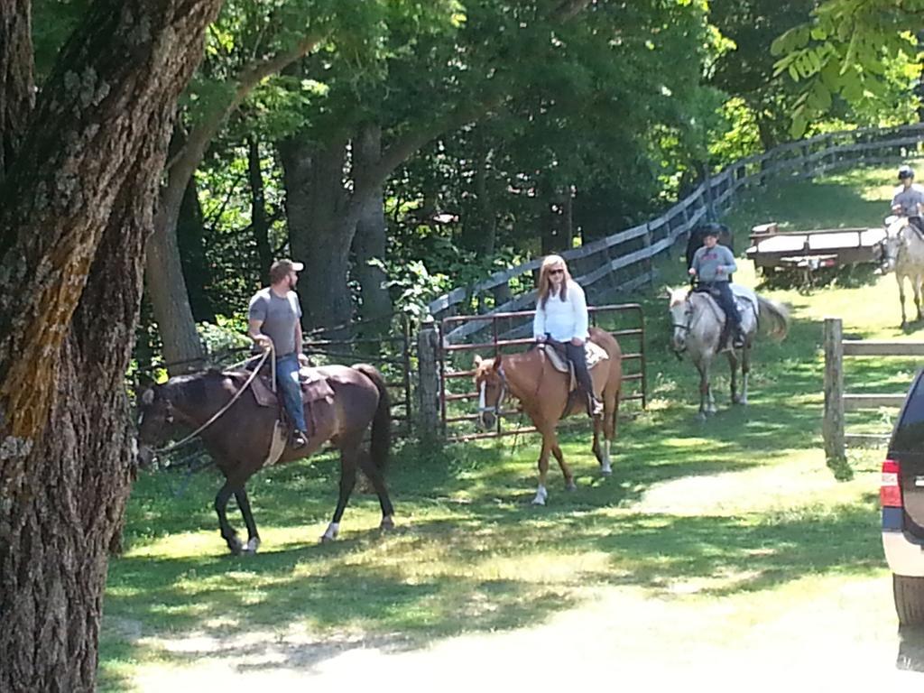 Arrowmont Stables & Cabins Cullowhee المظهر الخارجي الصورة