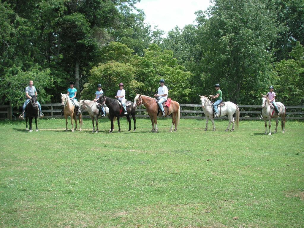 Arrowmont Stables & Cabins Cullowhee المظهر الخارجي الصورة
